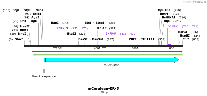 116826_map