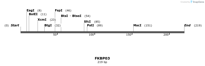 11683_map