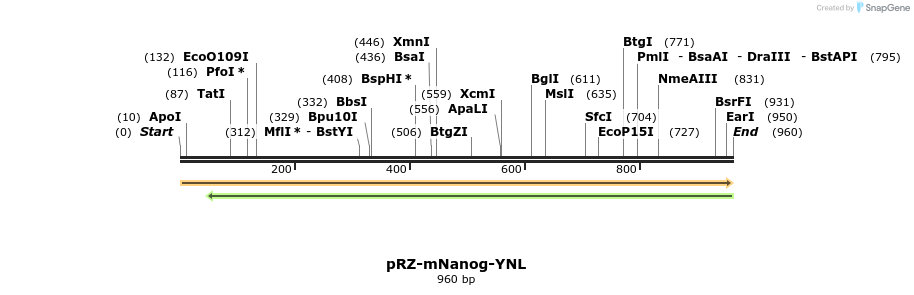 116830_map