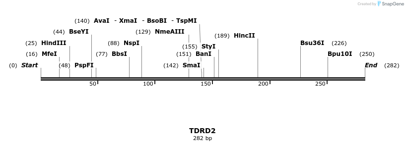 11684_map