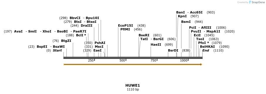 11685_map