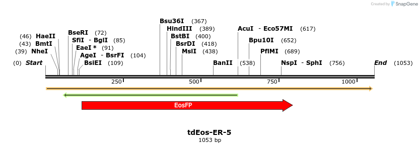 116859_map