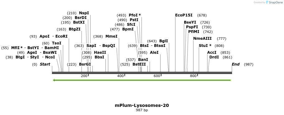 116861_map