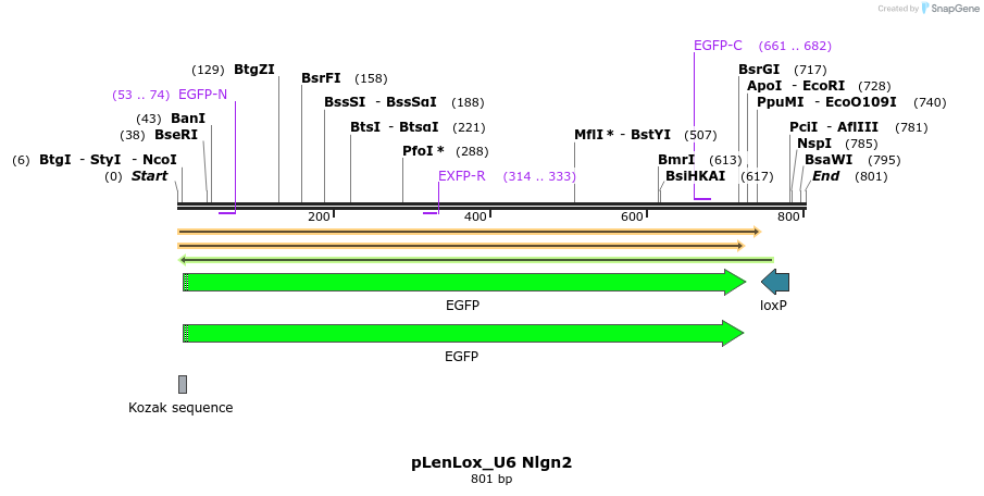 116866_map