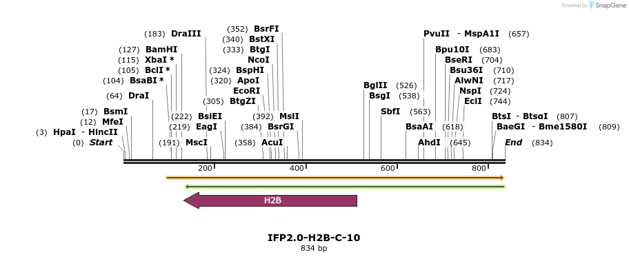 116869_map