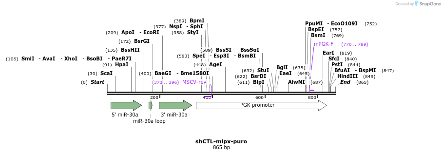 116885_map