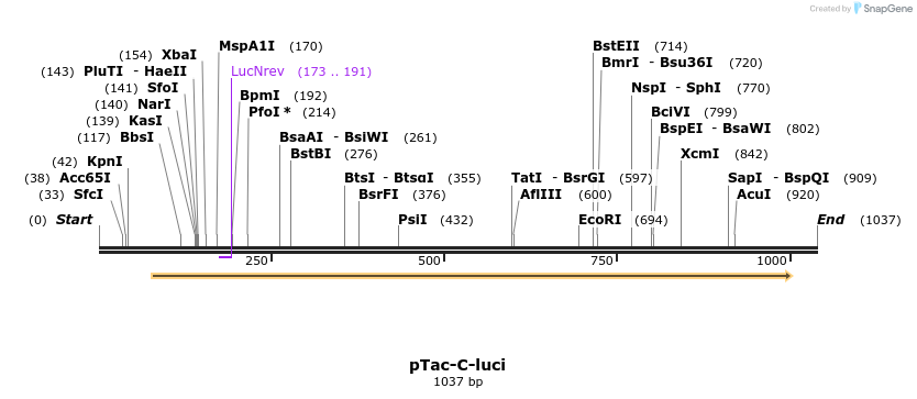 116886_map