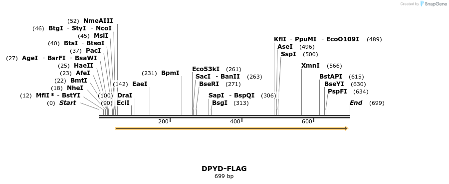 116889_map