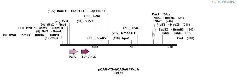 116893_map