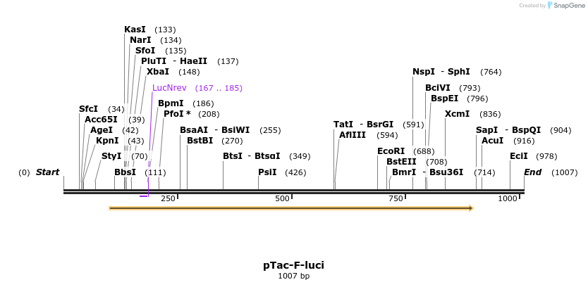 116894_map