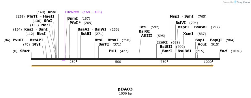116895_map