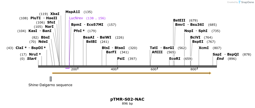 116898_map