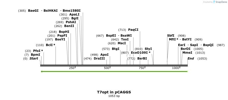 116899_map