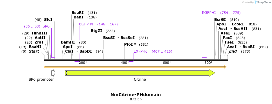 116900_map