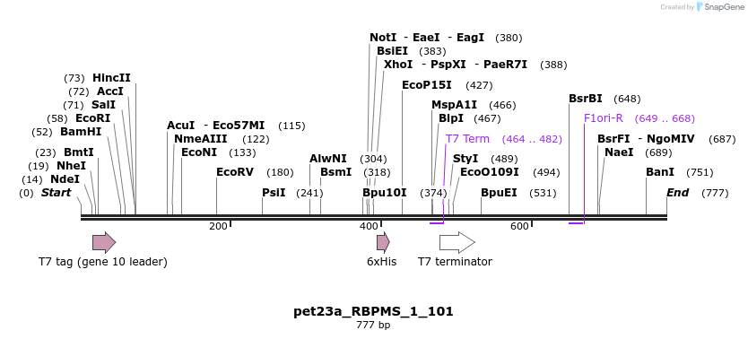 116902_map