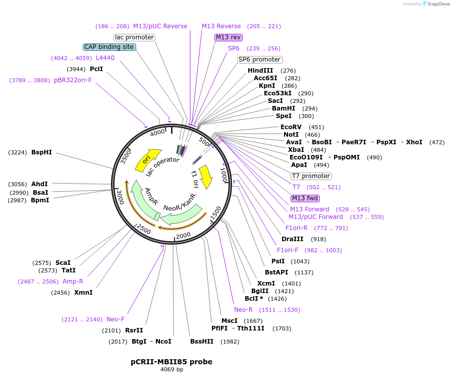 116915_map