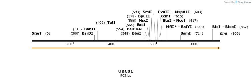 11692_map