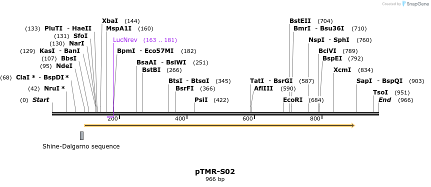 116923_map