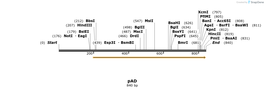 116924_map
