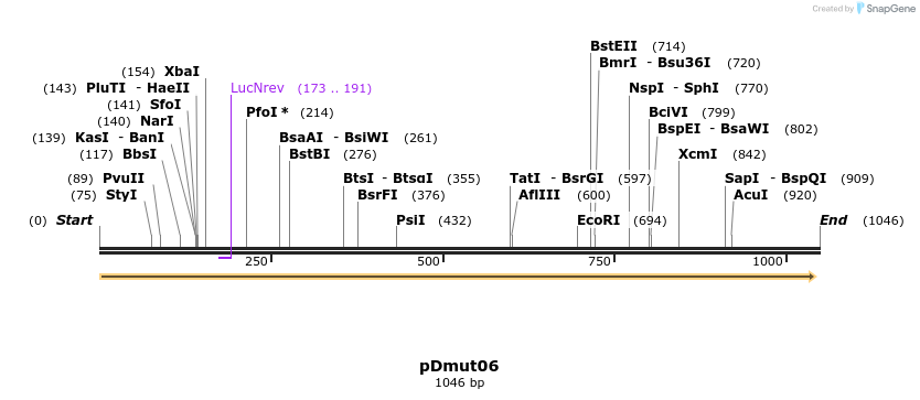 116926_map