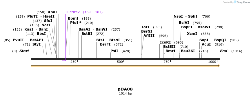 116928_map