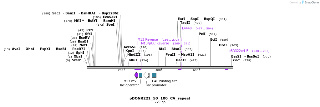 116930_map