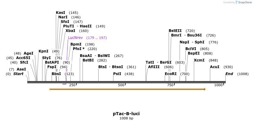 116931_map
