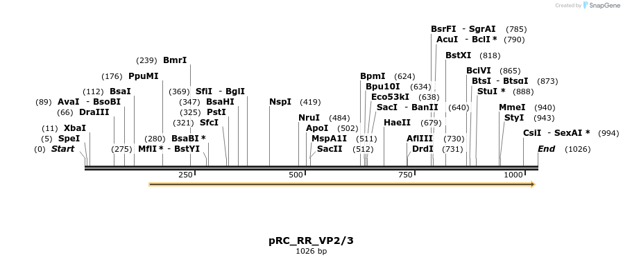 116939_map