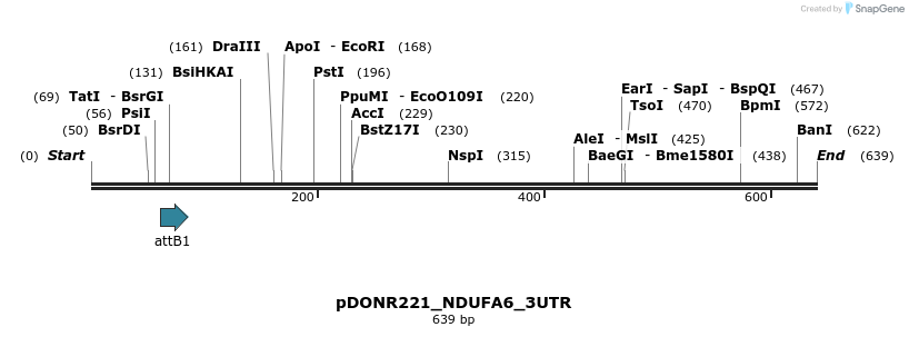 116942_map