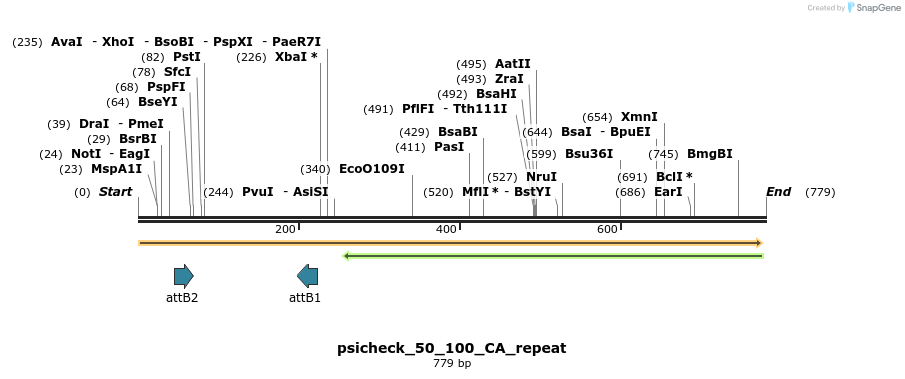 116951_map