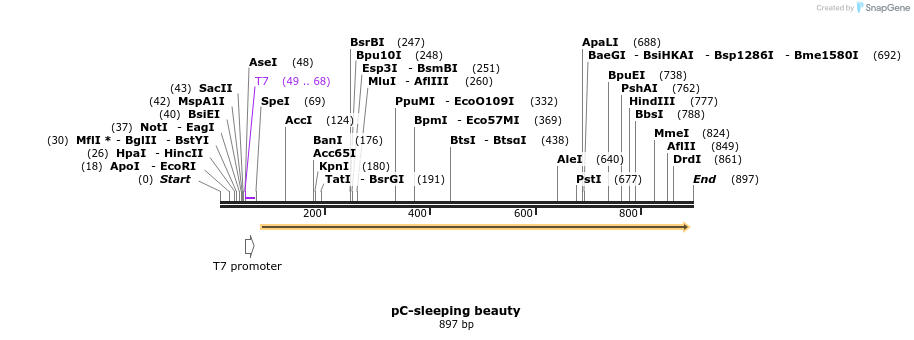 116952_map