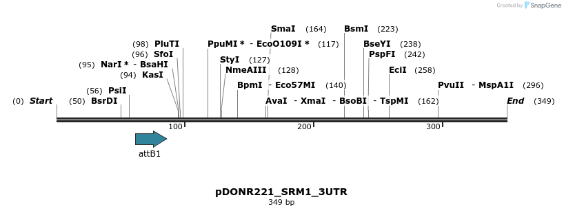116953_map