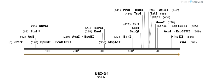 11696_map