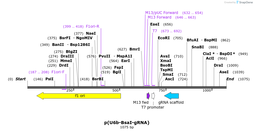 116967_map