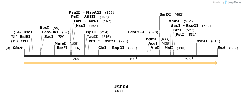 11697_map