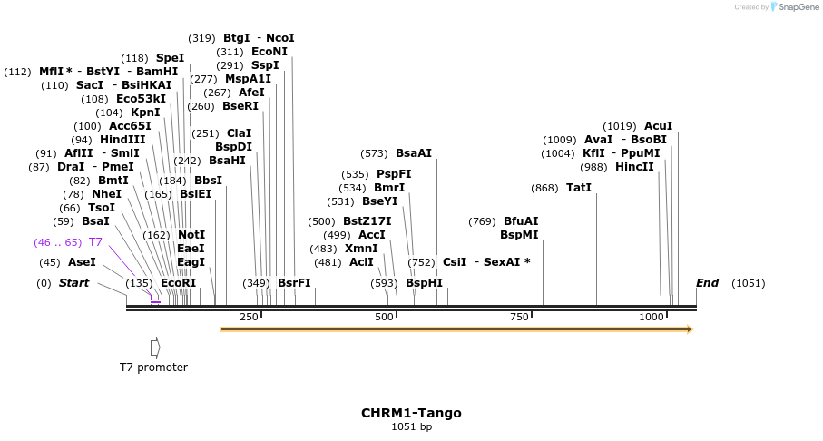 116974_map