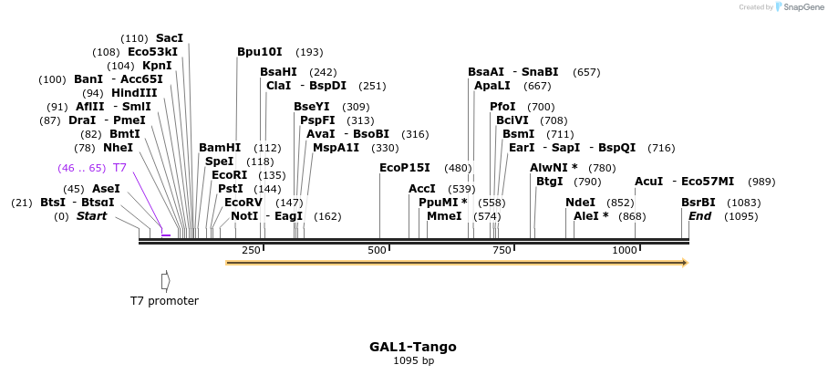117002_map
