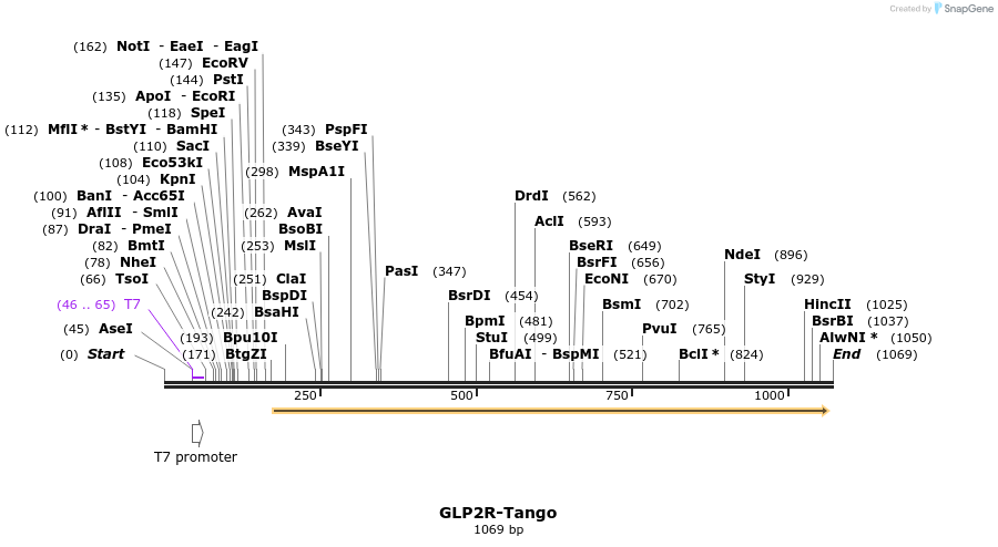 117003_map