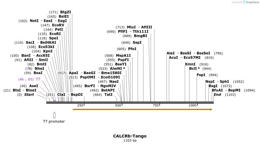 117012_map
