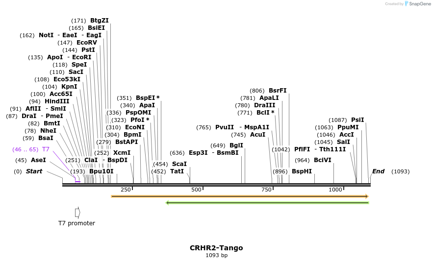 117022_map