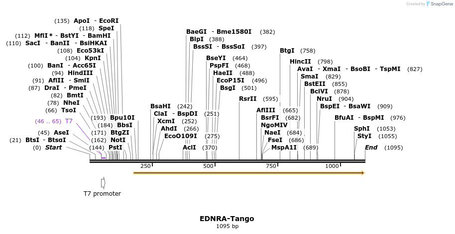 117028_map
