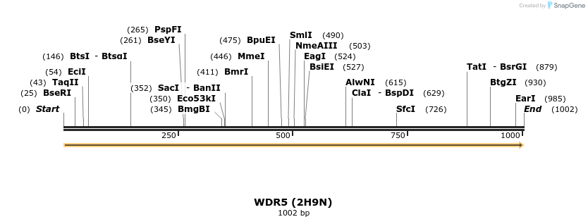 11703_map