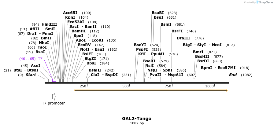 117033_map