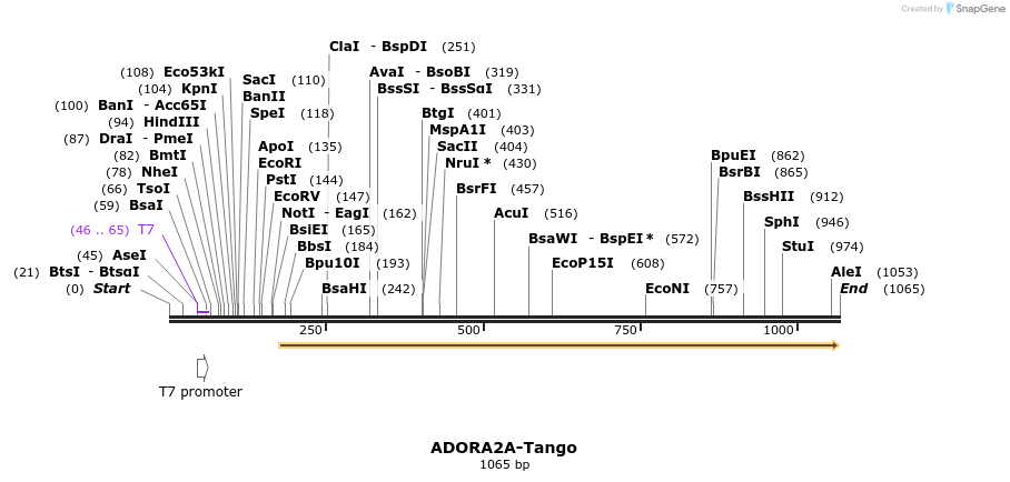 117034_map