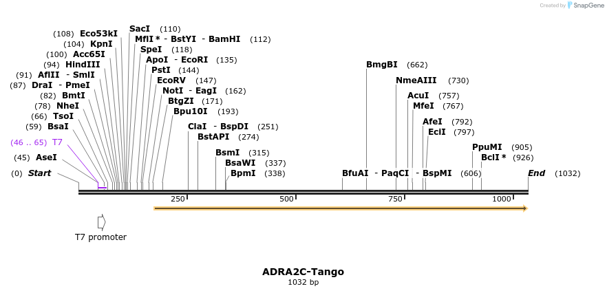 117035_map