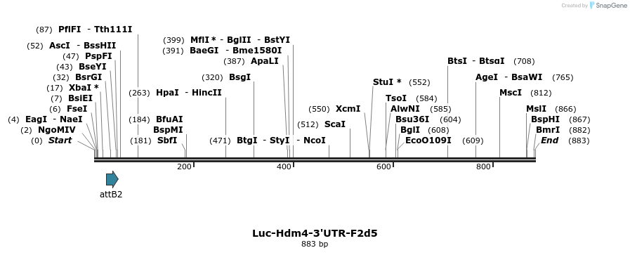 117036_map