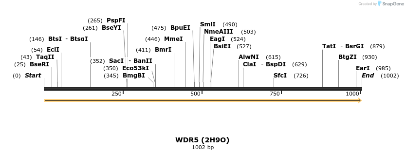 11704_map