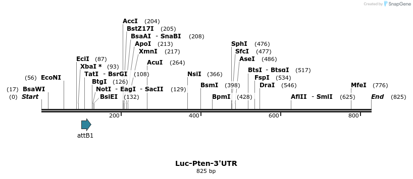 117046_map