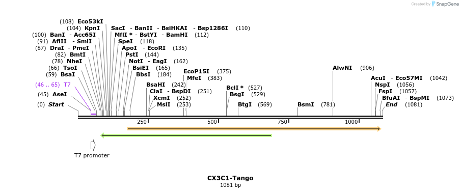 117047_map