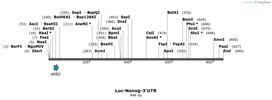 117051_map
